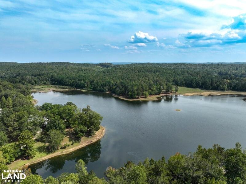 Woodstock, Bibb County, AL Recreational Property, Lakefront Property, Waterfront Property for sale Property ID: 417921212