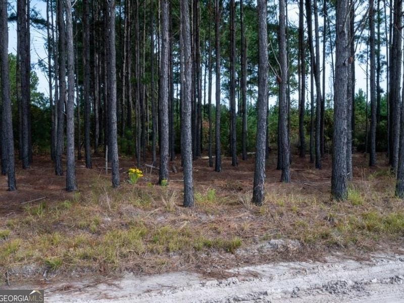 0 Lewis Davis Rd, Waycross, GA 31503 - MLS 20163344 for Sale