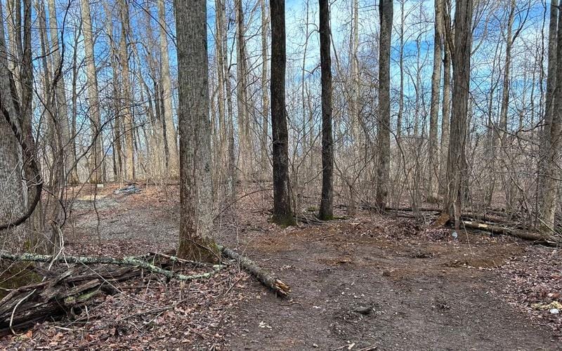 231 Bear Gap Rd, Blairsville, GA 30512  MLS# 330728 for Sale