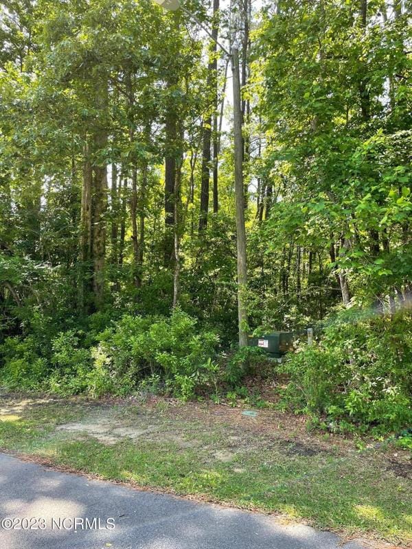 Havelock, Craven County, NC Undeveloped Land, Homesites for sale Property ID: 417034534