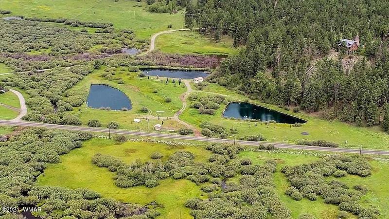 Greer, Apache County, AZ Lakefront Property, Waterfront Property for sale Property ID: 411989937