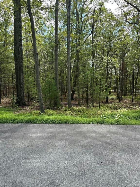 MAGNOLIA DRIVE, Glen Spey, NY 12737 Land For Sale  MLS# H6266267