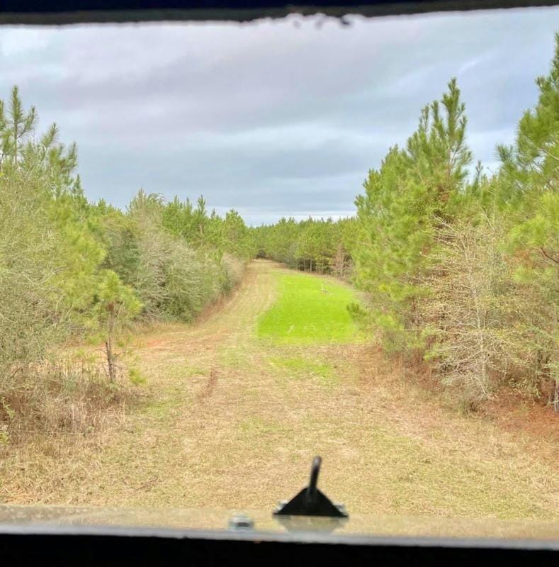 326 KNOXO COLUMBIA ROAD, Kokomo, MS 39643 Land For Sale  MLS# 137831