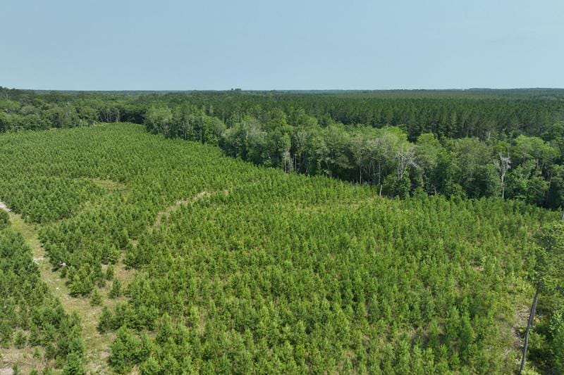 Blackshear, Pierce County, GA Recreational Property, Timberland Property for sale Property ID: 416732031