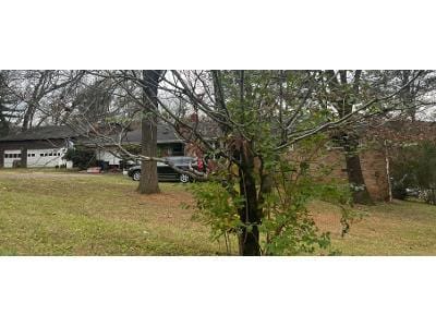 Tinker Bell Cir for Sale