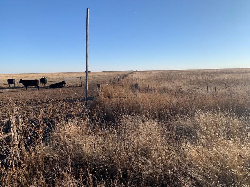 Kerrick, Dallam County, TX Farms and Ranches, Recreational Property for sale Property ID: 418627241