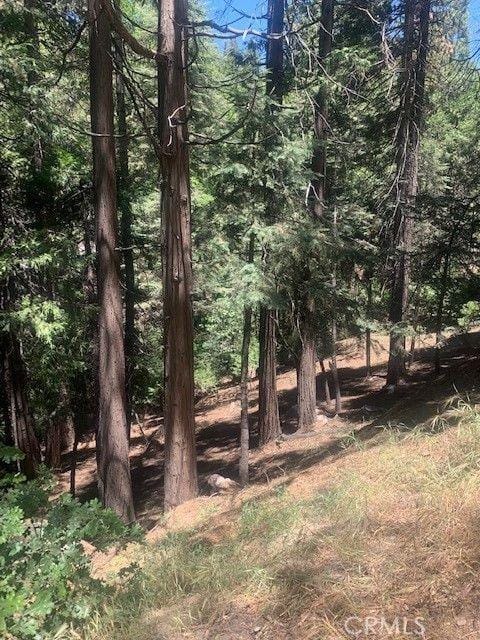 Lake Arrowhead, San Bernardino County, CA Undeveloped Land, Homesites for sale Property ID: 410596574