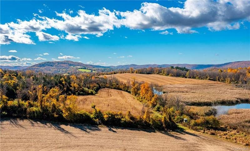 5246 ROUTE 22, Amenia, NY 12501 Land For Sale  MLS# H6217095