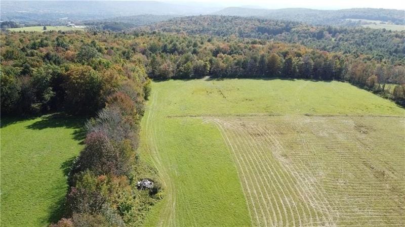 Unadilla, Otsego County, NY Undeveloped Land for sale Property ID: 418421962