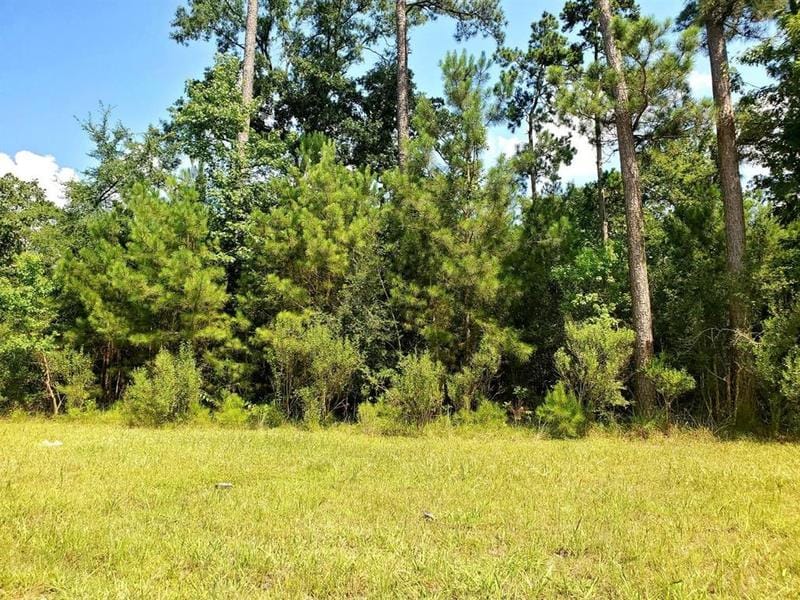 105 Kings Lake Estates Blvd, Humble, TX 77346 for Sale