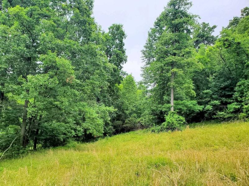 Ironton, Lawrence County, OH Homesites for sale Property ID: 417012481