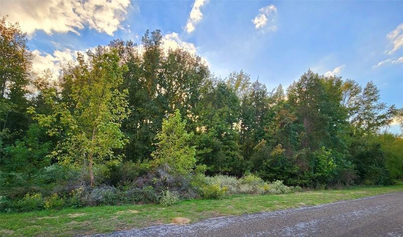 Lot 283 Eland Trail, Larue, TX 75770 for Sale