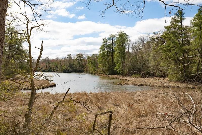 Lancaster, Lancaster County, VA for sale Property ID: 418545166