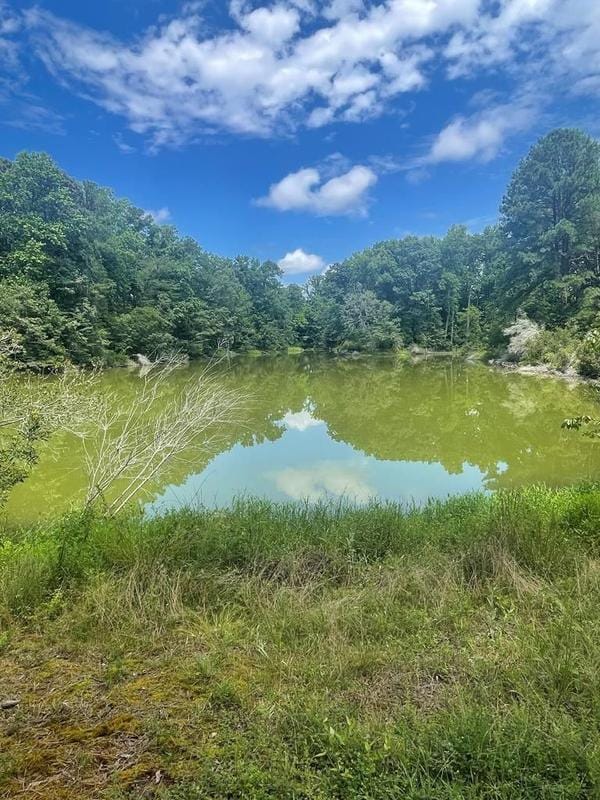 Lancaster, Lancaster County, VA for sale Property ID: 418545167