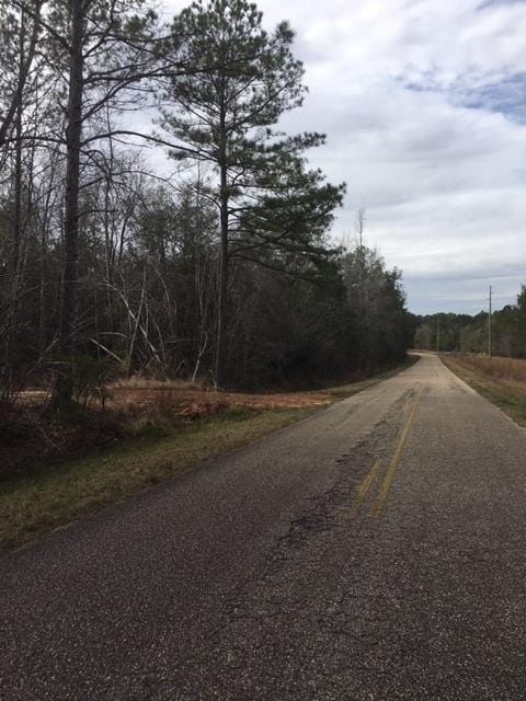 Hybart, Monroe County, AL Recreational Property, Undeveloped Land, Hunting Property for sale Property ID: 336789031