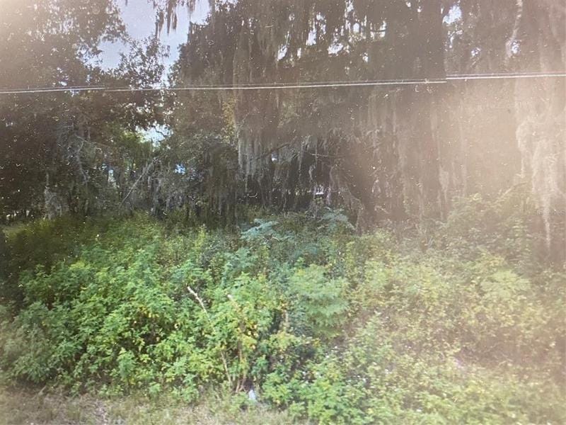 Ocala, Marion County, FL Undeveloped Land, Homesites for sale Property ID: 412444631