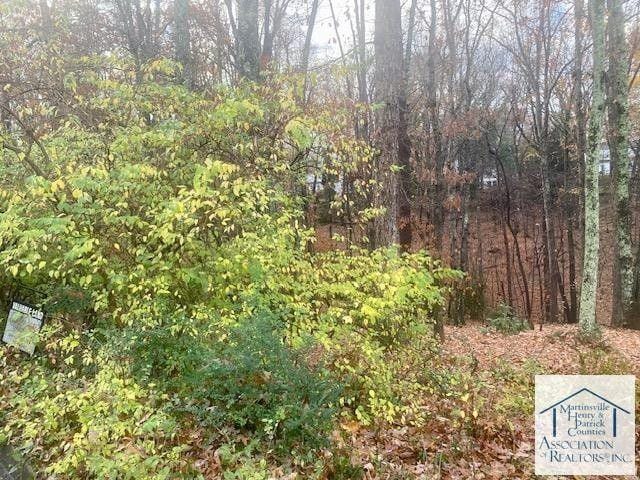 Martinsville, Henry County, VA Undeveloped Land, Homesites for sale Property ID: 418338244