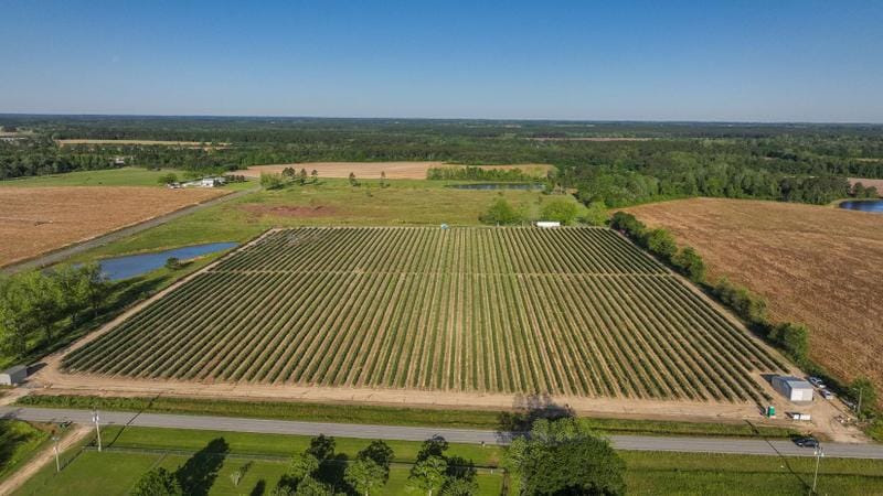 Hartsfield, Colquitt County, GA Farms and Ranches, Commercial Property for sale Property ID: 415917501