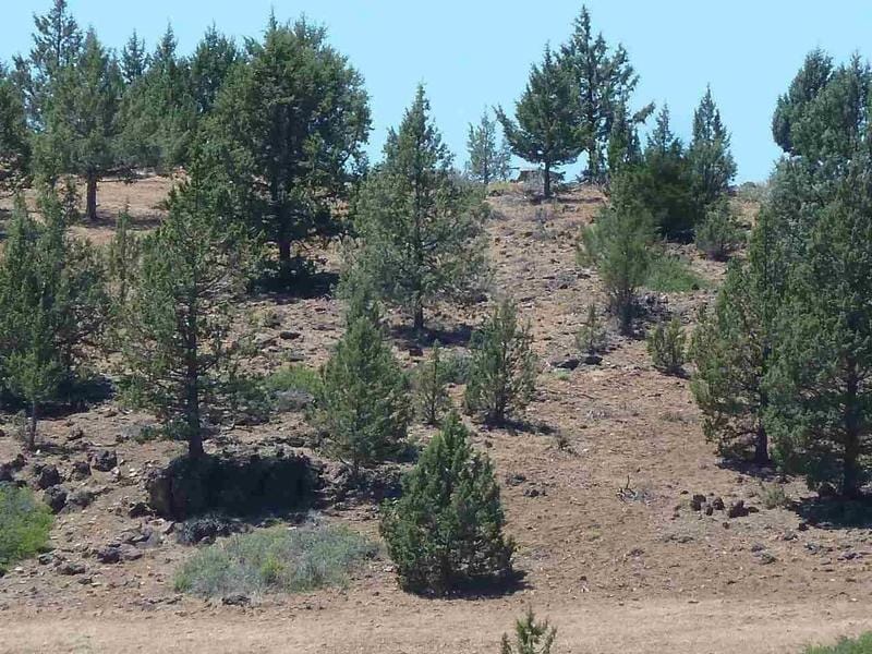 Hornbrook, Siskiyou County, CA Undeveloped Land, Homesites for sale Property ID: 416288815