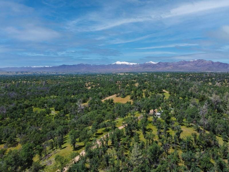 40 ACRES TWO FEATHERS RD. Cottonwood, CA 96022 Land For Sale  MLS# 24-172