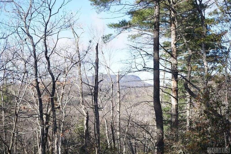 TBD Bowery Road, Highlands, NC 28741  613172424 for Sale