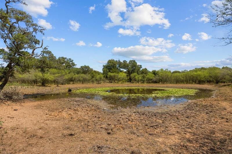 1899 County Road 106, Columbus, TX 78934 for Sale