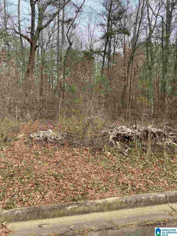 43 PEYTON PL # 5, ANNISTON, AL 36207 Land For Sale  MLS# 1275769