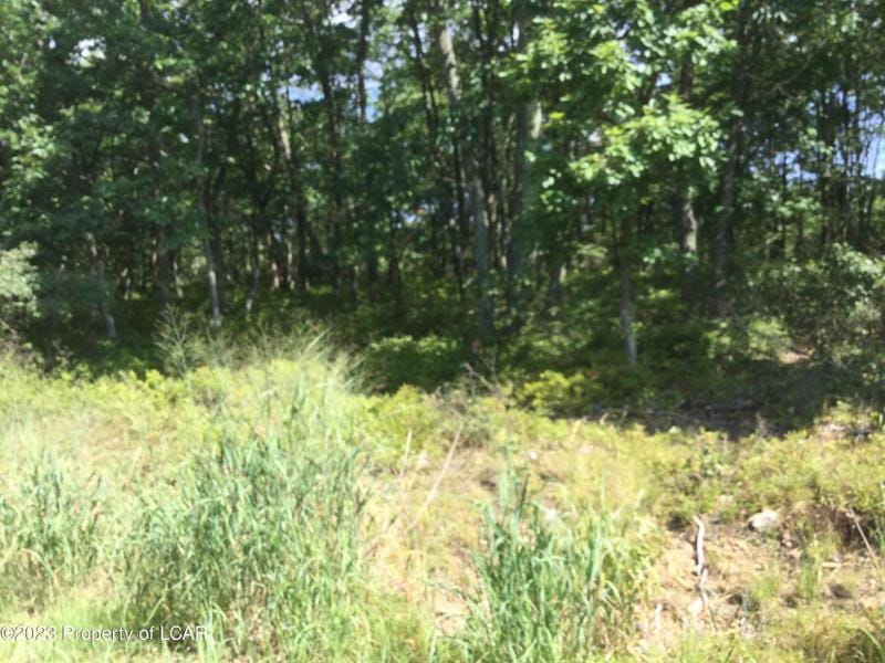 Hazleton, Luzerne County, PA Undeveloped Land, Homesites for sale Property ID: 416240887