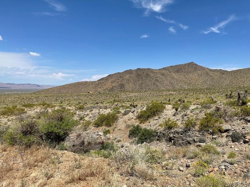 0 Mesquite Road Rd, Dolan Springs, AZ 86441 - MLS 001665 for Sale