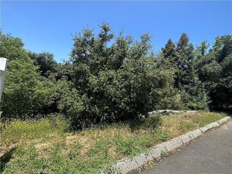 Yucaipa, San Bernardino County, CA Undeveloped Land for sale Property ID: 417310566