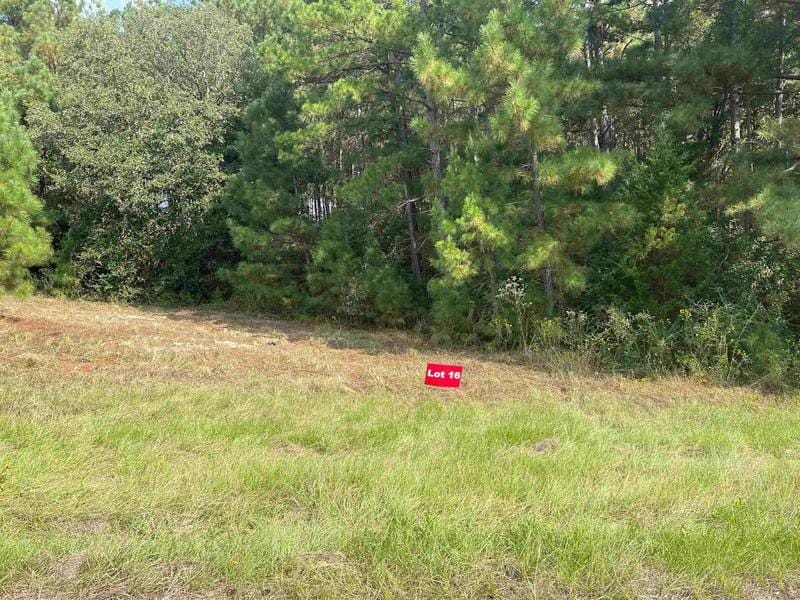 Tbd Lot 16 CR 2204 D & FM 1797, Tatum, TX 75691 for Sale