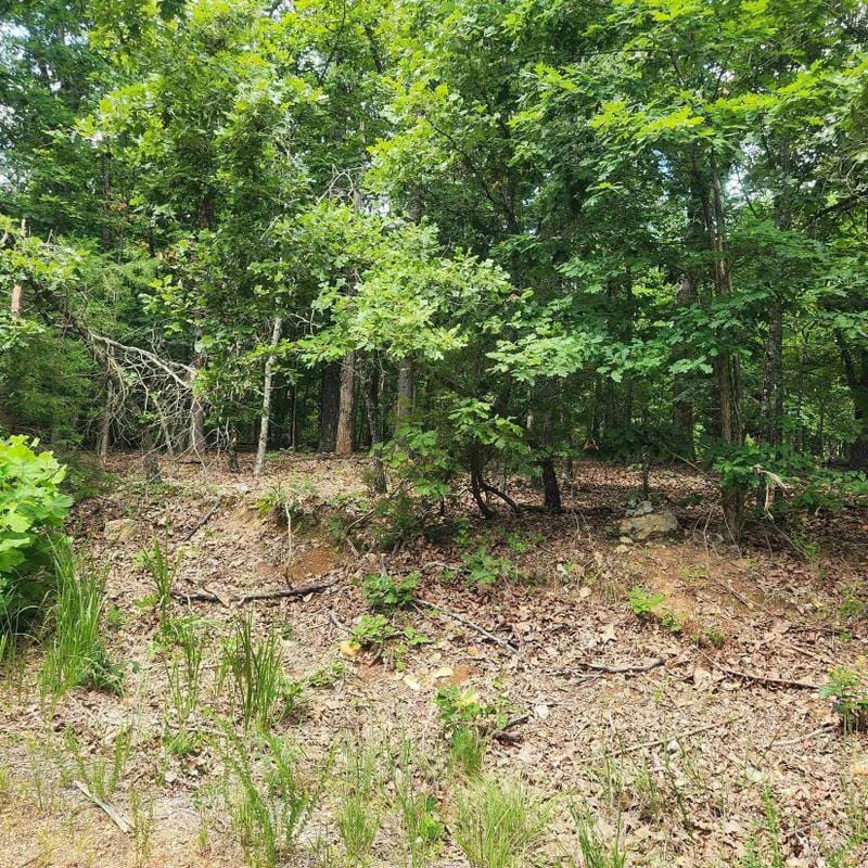 Cherokee Village, Sharp County, AR Undeveloped Land, Homesites for sale Property ID: 416915906