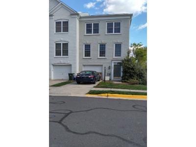 Terra Cotta Cir for Sale
