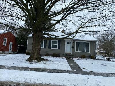 Amelia Ave for Sale