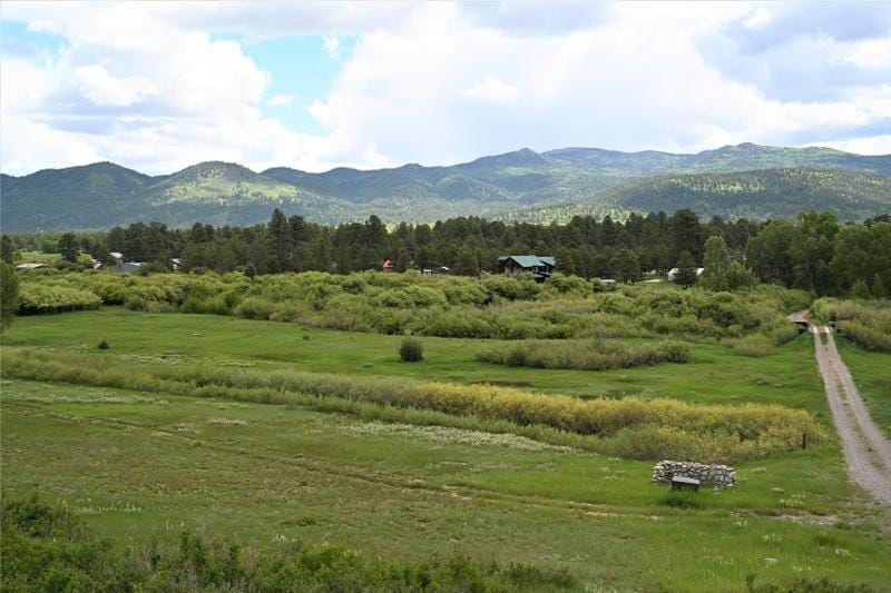 Chama, Rio Arriba County, NM Undeveloped Land for sale Property ID: 416899824