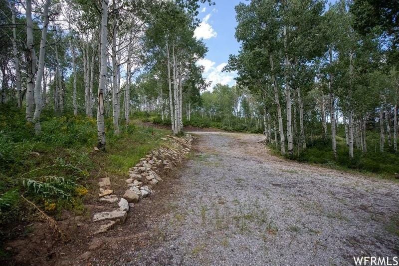 Spanish Fork, Utah County, UT Undeveloped Land for sale Property ID: 418313479