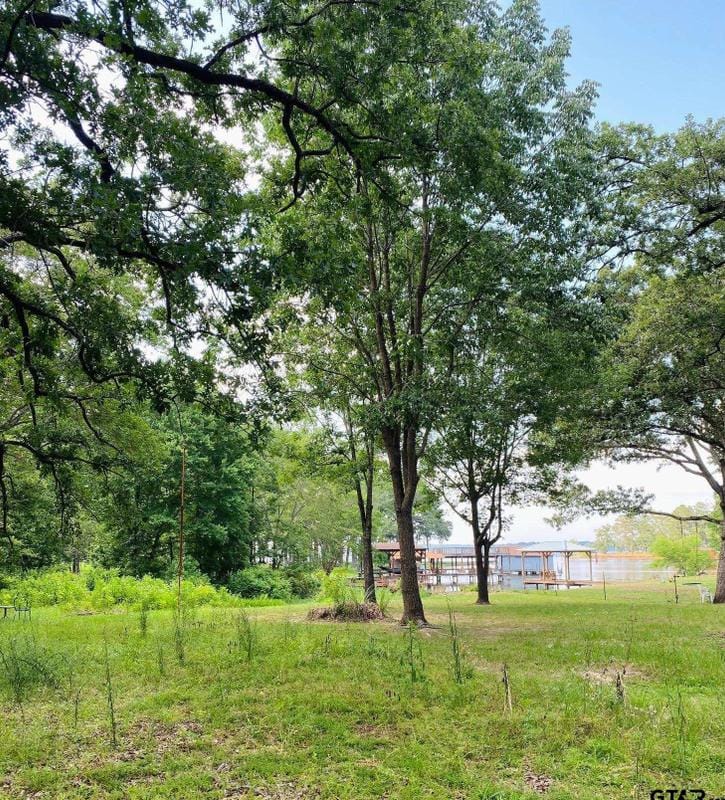 Tbd Brierwood Dr, Frankston, TX 75763 - MLS 23005969 for Sale