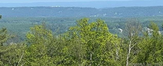 186 Great Pyrenees Way, Burlington, CT 06013 - MLS 170605365 for Sale