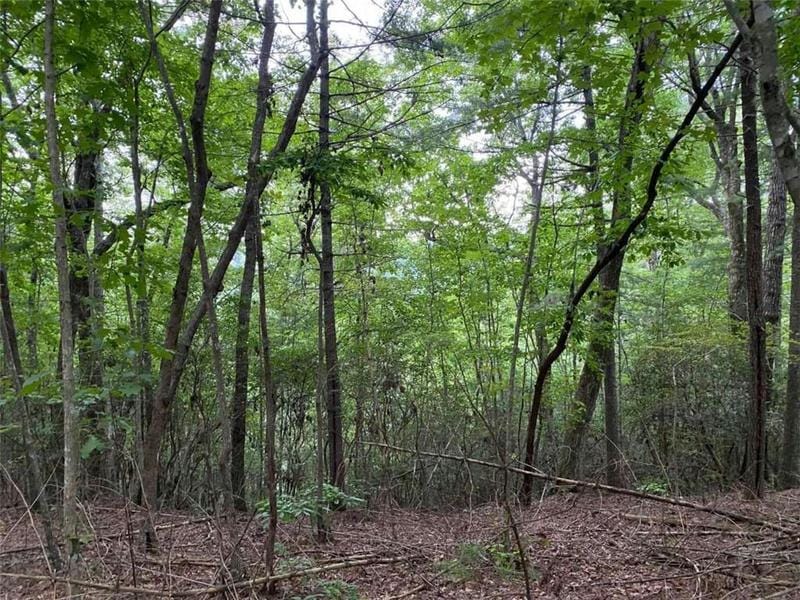 LOT A HARPERS CREEK ROAD, Ellijay, GA 30540 Land For Sale  MLS# 7322589