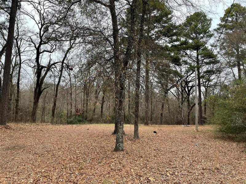 9815 Caddo Lake Rd, Mooringsport, LA 71060 for Sale