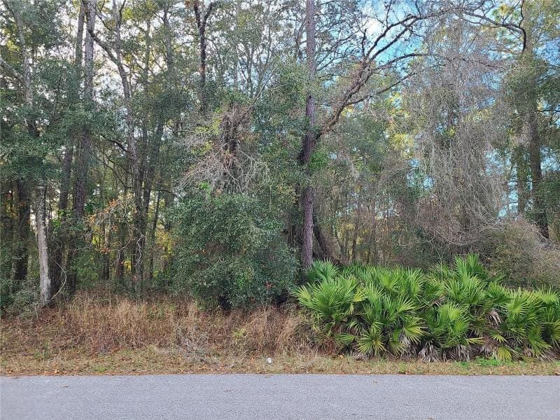 Ocala, Marion County, FL Undeveloped Land, Homesites for sale Property ID: 418530574