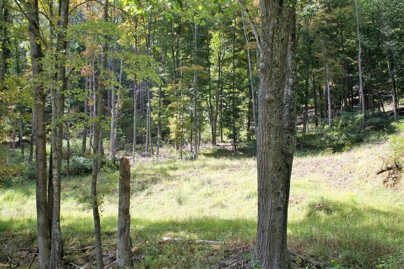 Monterey, Highland County, VA Undeveloped Land for sale Property ID: 417635613