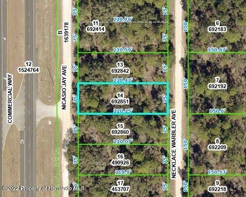 Weeki Wachee, Hernando County, FL Commercial Property, Homesites for sale Property ID: 418146464