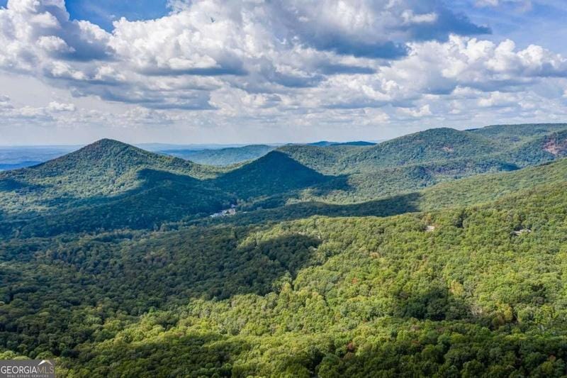Jasper, Pickens County, GA Undeveloped Land, Homesites for sale Property ID: 418015967