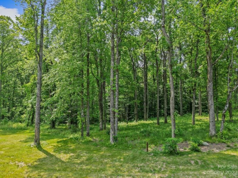 Fletcher, Henderson County, NC Undeveloped Land, Homesites for sale Property ID: 417062947