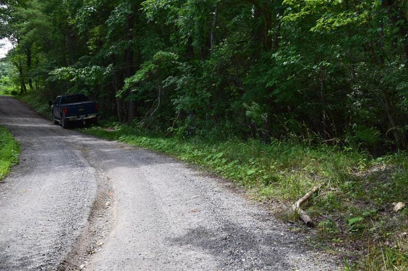 Pilot, Floyd County, VA Undeveloped Land for sale Property ID: 416950345