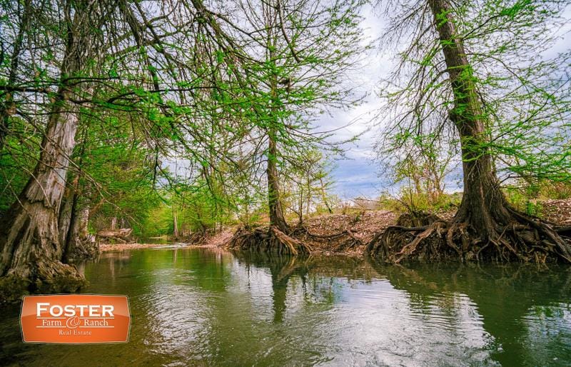 Bandera, Bandera County, TX Undeveloped Land, Riverfront Property, Waterfront Property for sale Property ID: 416176280