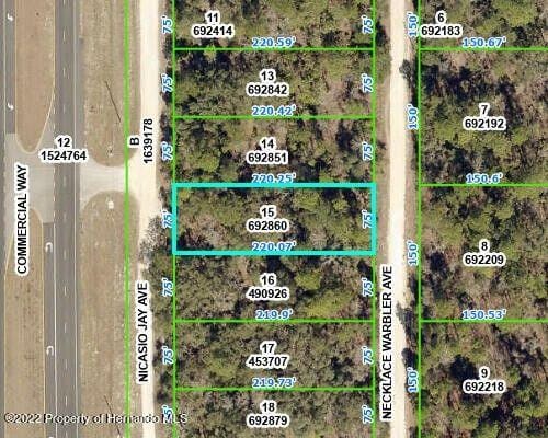 Weeki Wachee, Hernando County, FL Commercial Property, Homesites for sale Property ID: 418146466