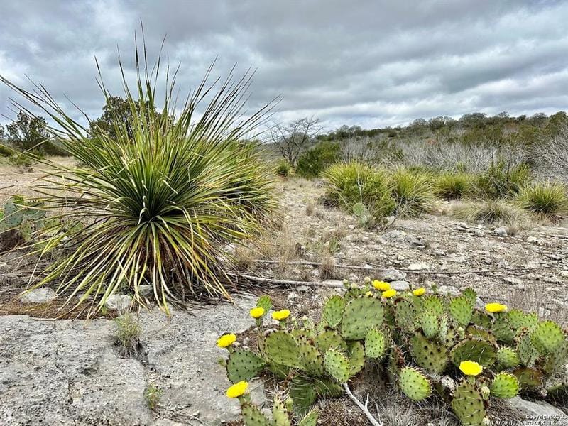 HWY 163 000, Ozona, TX 76943 for Sale