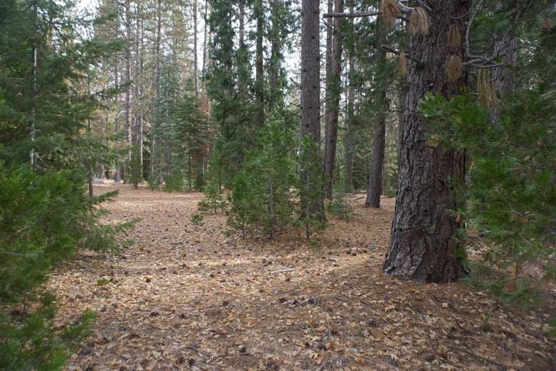 58521 Wagon Wheel Road, Cromberg, CA 96103  612532574 for Sale